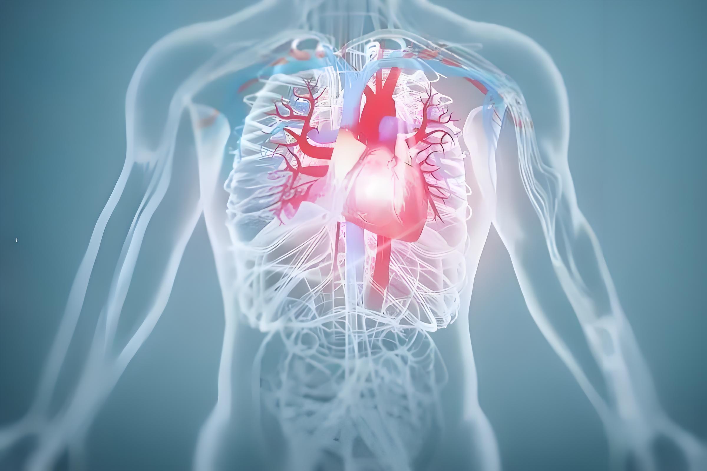 什么是先天性心脏病 先天性心脏病的含义