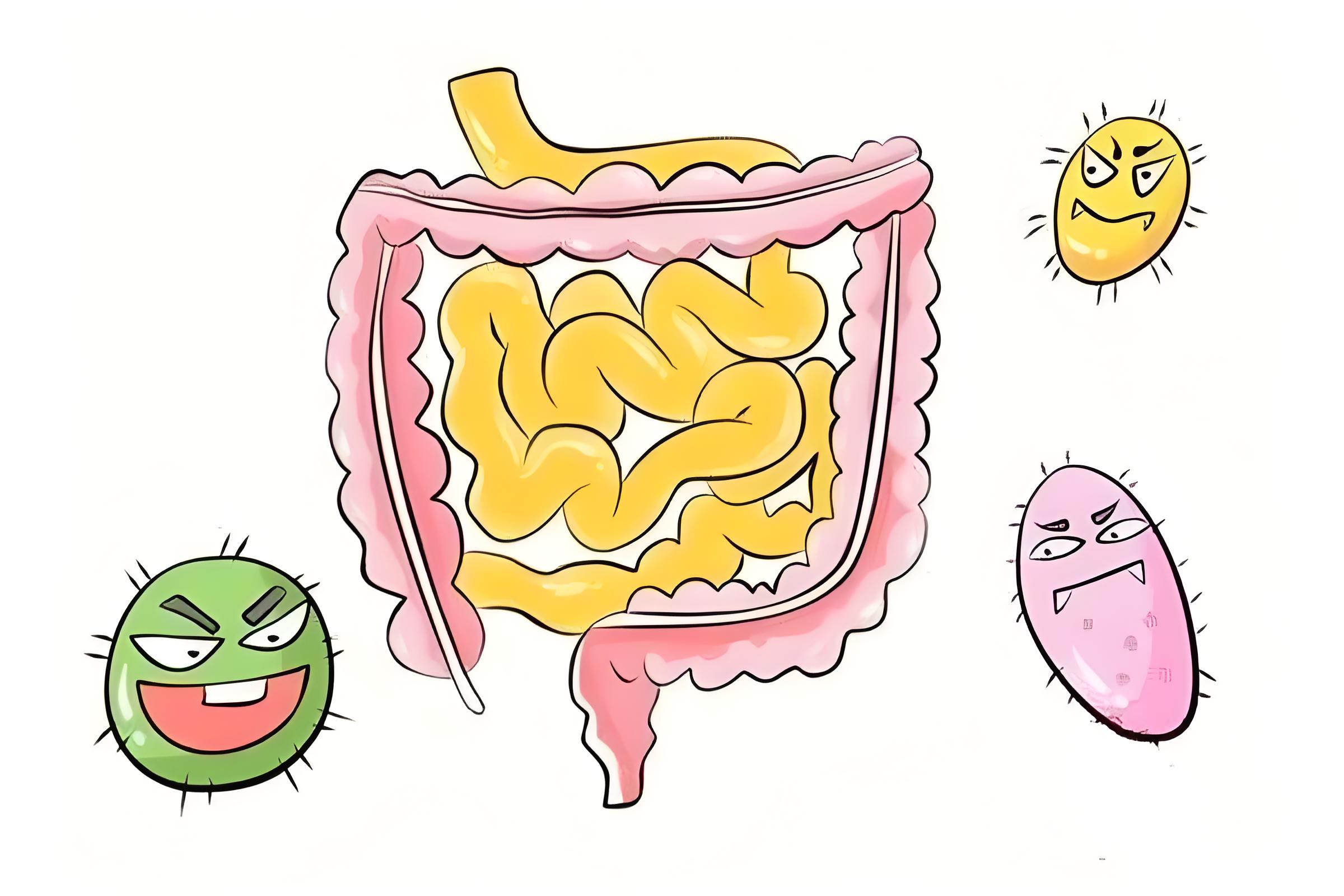 肠道微生态失衡与亚健康的关系