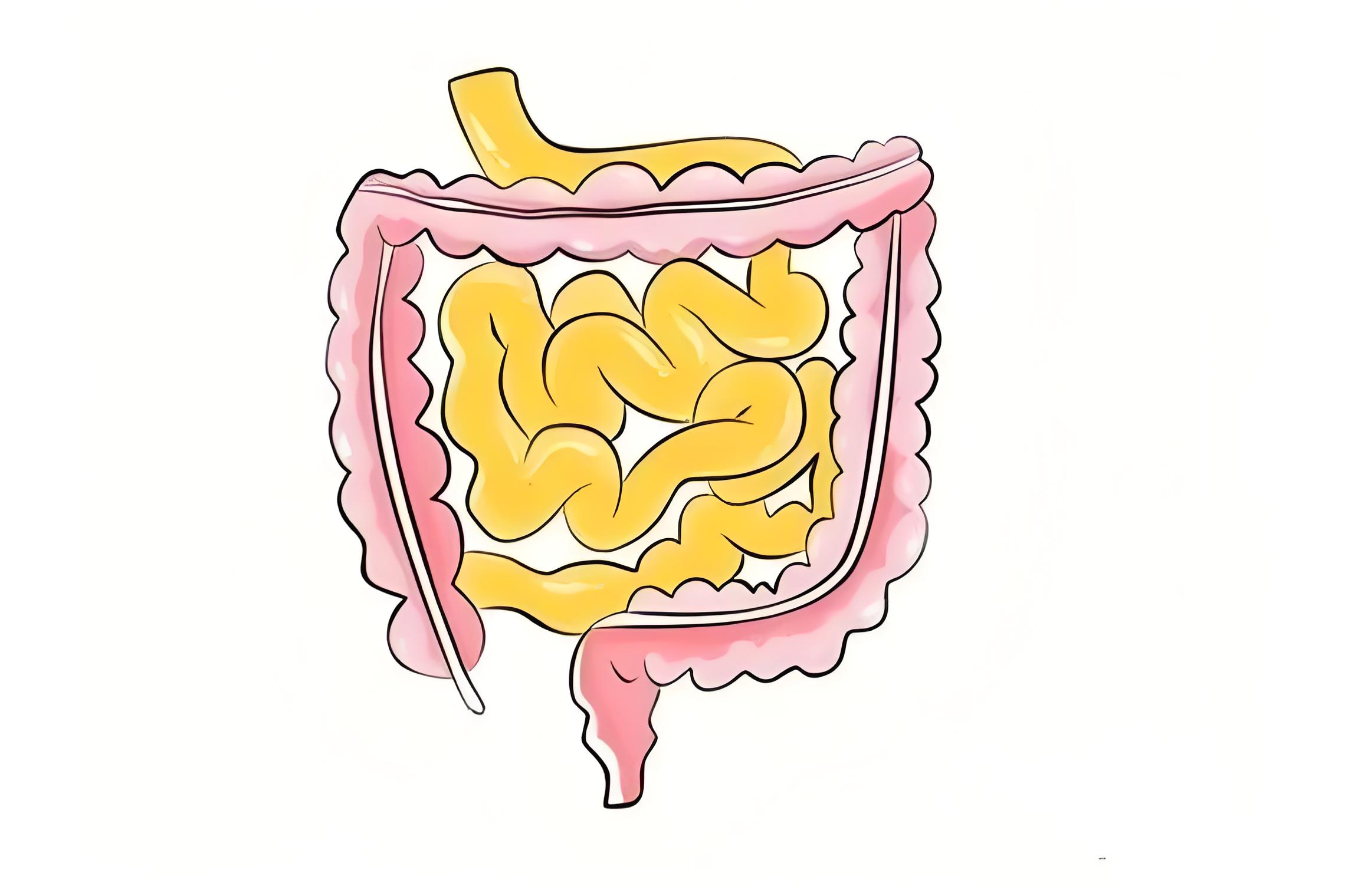 不易察觉的胃肠病——肠胃功能紊乱